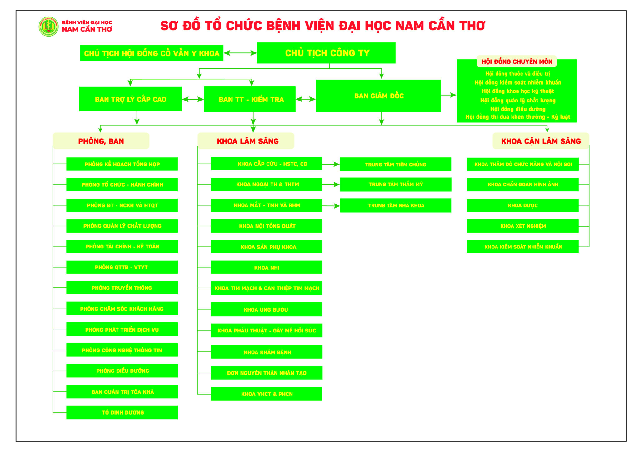 Sơ đồ cơ cấu tổ chức Bệnh viện Đại học Nam Cần Thơ